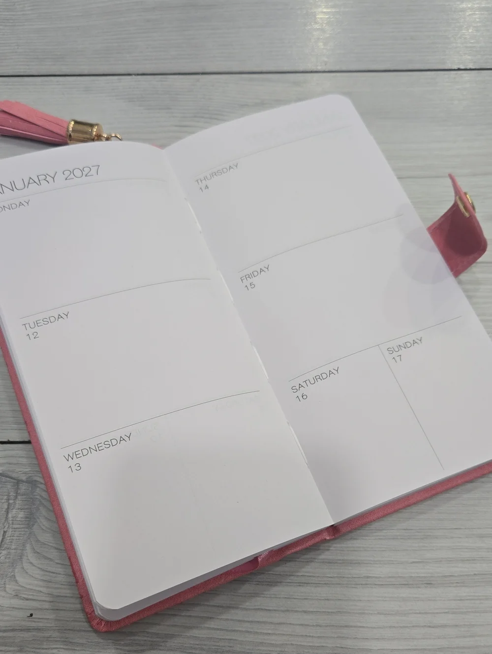 2027 Pink Floral Daily Planner with Tassel